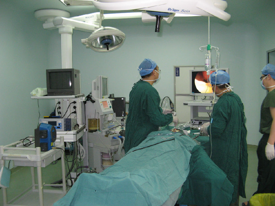 �ҿ��_(k��i)չ�ǃ�(n��i)�R�Iǰ�[�C��·���g(sh��)